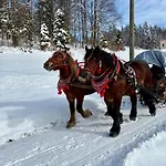 Dolina Rastoki *