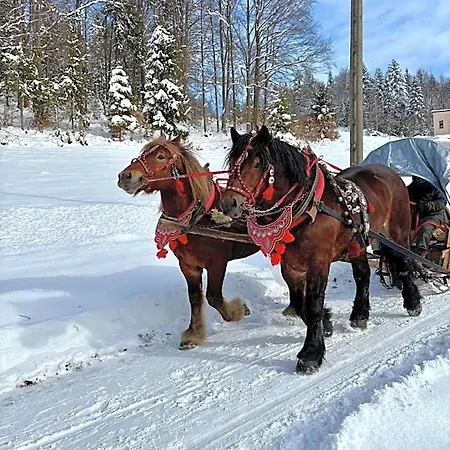 Dolina Rastoki * Koniakow